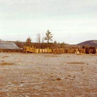 ranching11 ranching11
