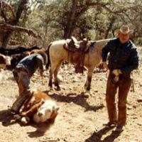 ranching14 ranching14