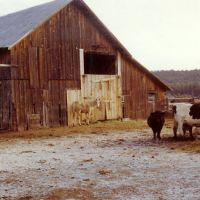 ranching4 ranching4