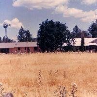 ranching6 ranching6