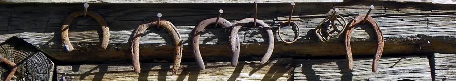 horseshoes